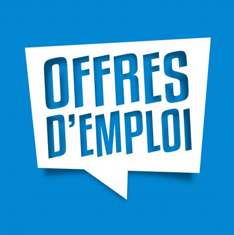 Offre d’emploi : Agent Recenseur